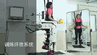 训练评估系统.gif